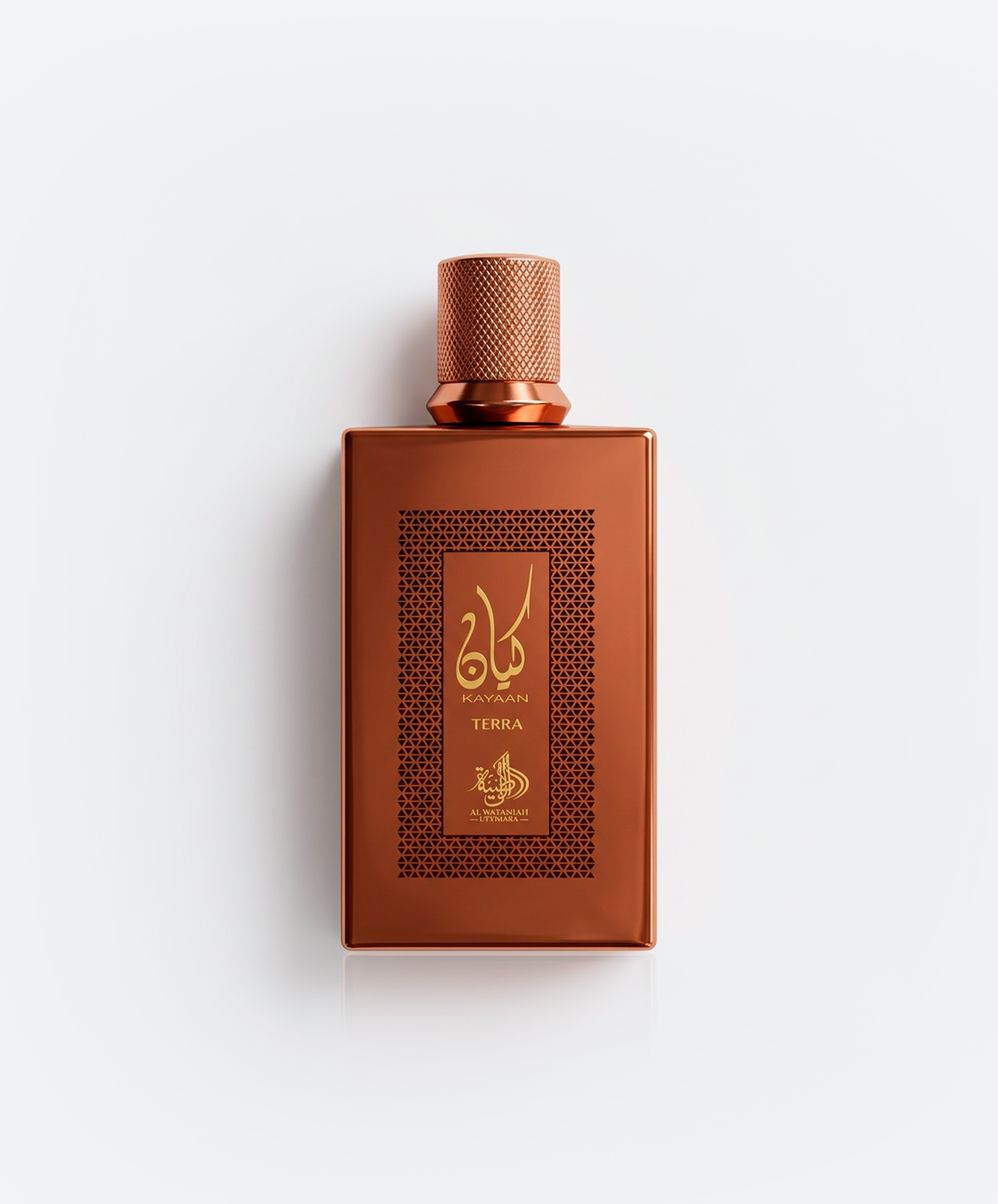 AL WATANIAH ETERNAL PERFUME 100ML - KAYAAN TERRA