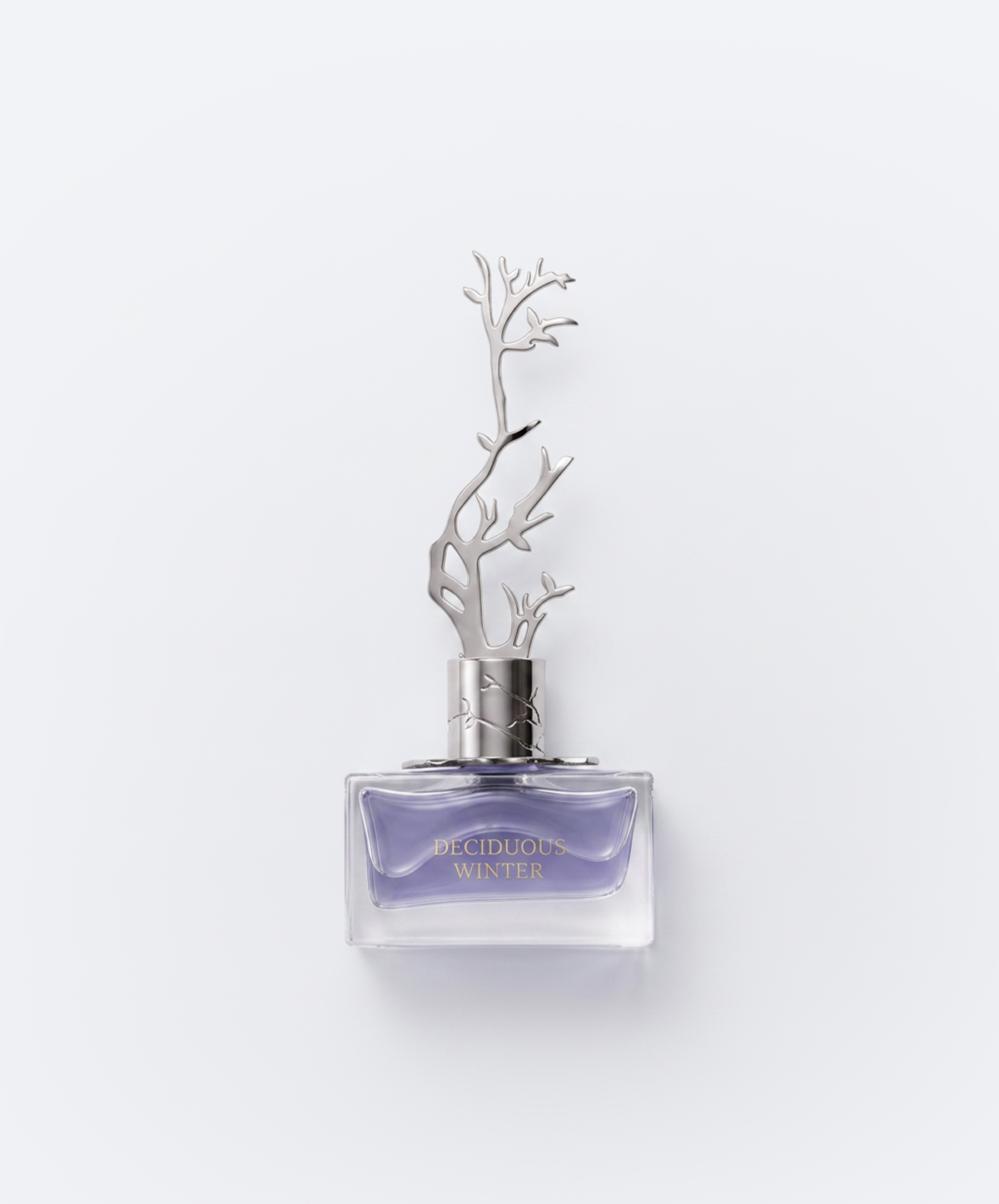 AURORA DECIDUOUS WINTER (L) EDP 100ML