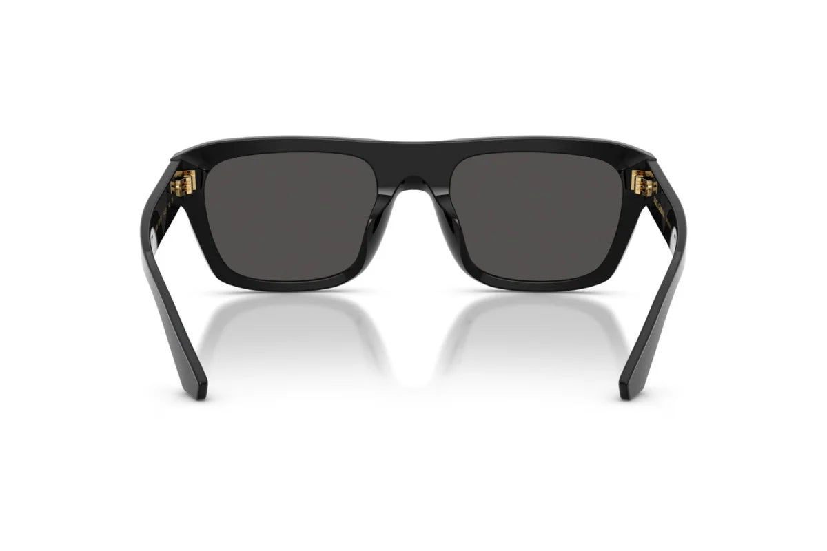 DOLCE&GABBANA 0DG4496 501/8754