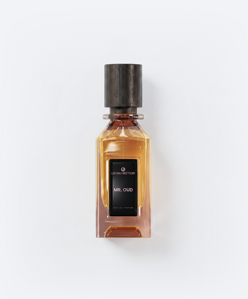 Leon Hector MR.Oud EDP 110ML