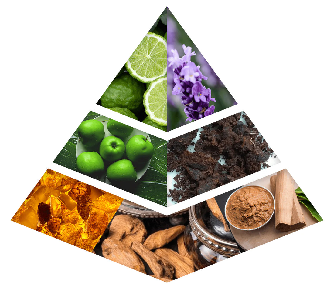 MUSK POUR NARCIS100 ML