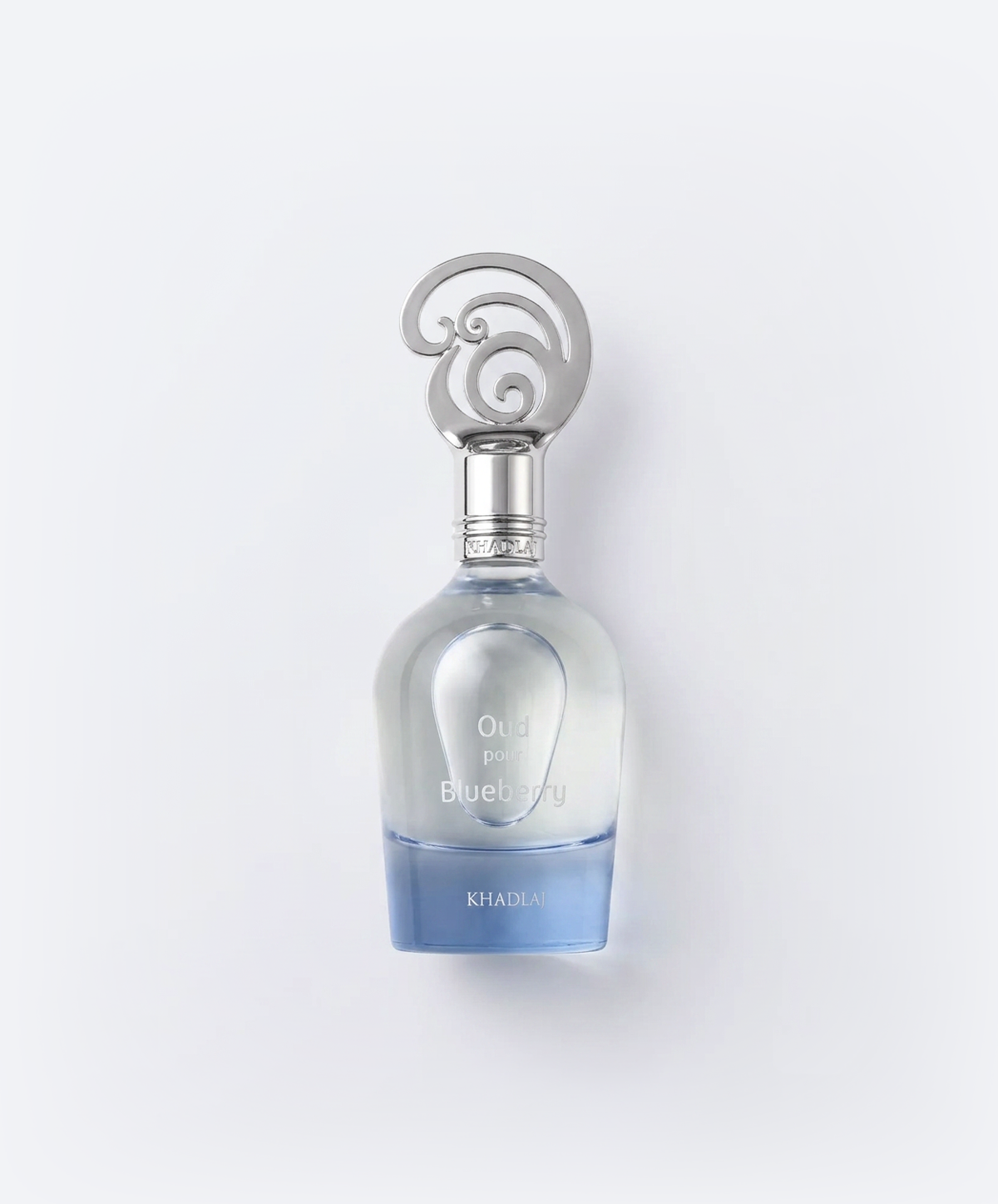 OUD POUR BLUEBERRY 100ML EDP SPRAY