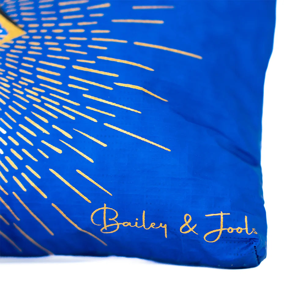 Mini Pouch - Golden Eye