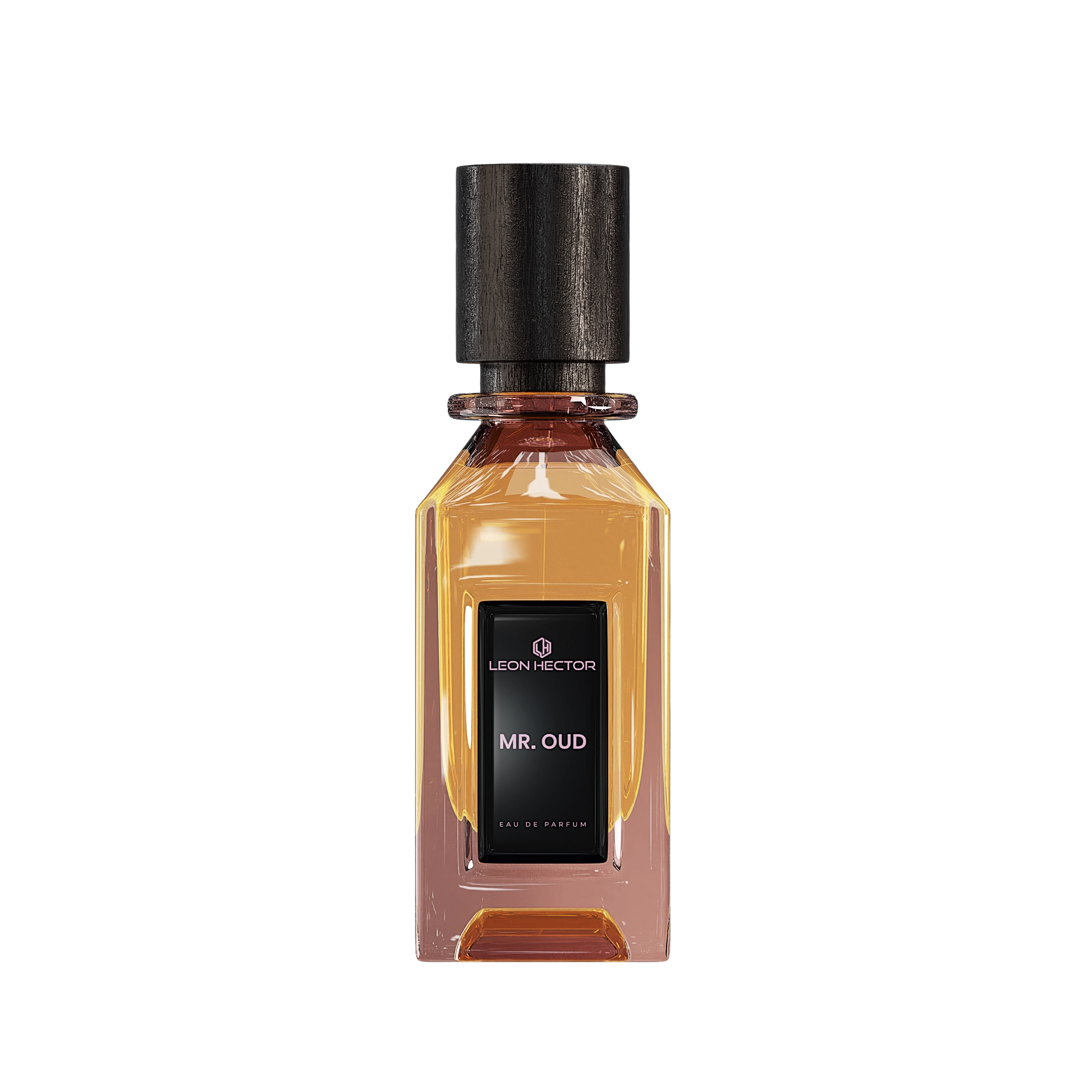 Leon Hector MR.Oud EDP 110ML