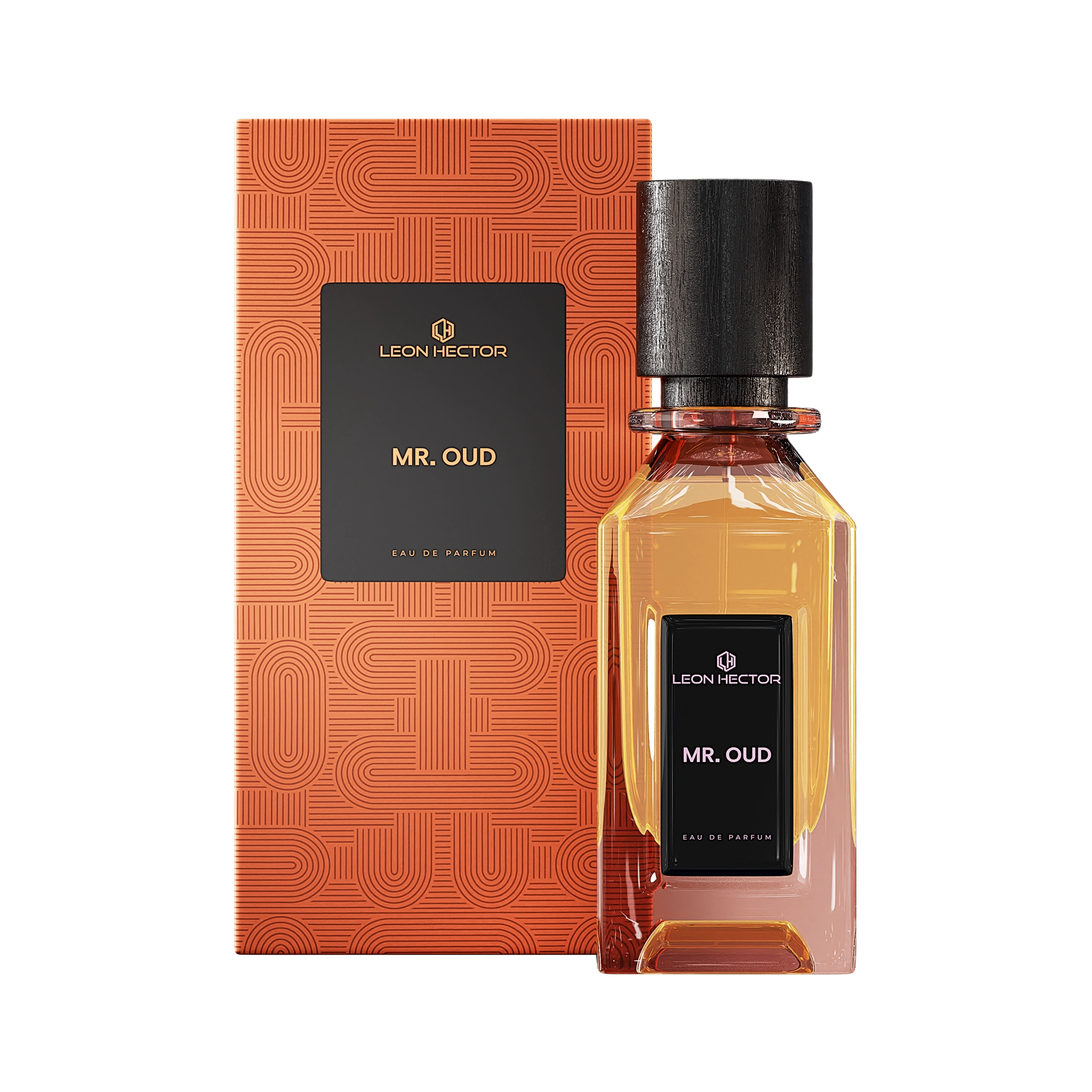 Leon Hector MR.Oud EDP 110ML
